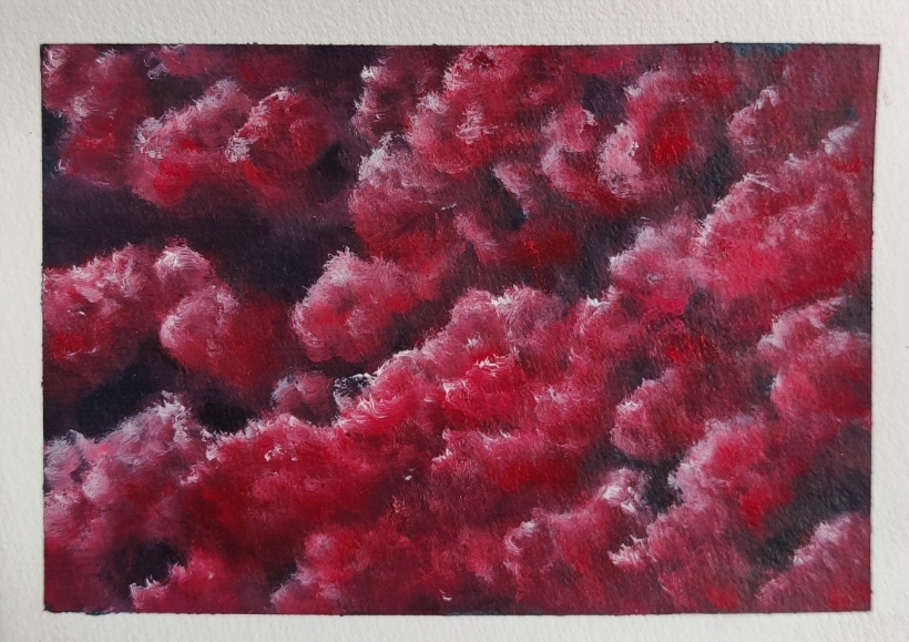 Red Clouds 1