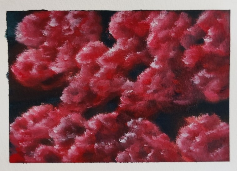 Red Clouds 2