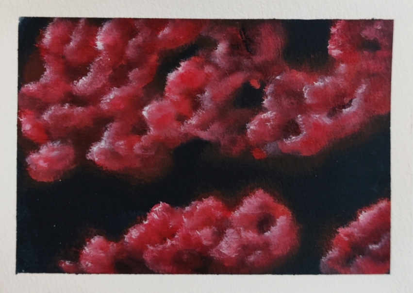 Red Clouds 3